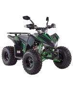 Quad Z-Tech Coyote ATA 125cc Ruota 8"