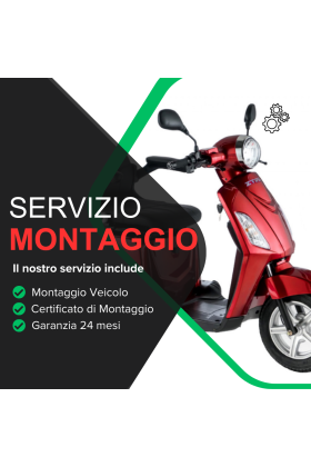 Servizio Accessorio Montaggio Veicolo Z-Tech ZT-15