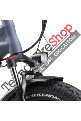 Bici Elettrica a Pedalata Assistita E-Bike Pieghevole City Bike Florida 4S 250W 36V Batteria Litio Shimano - Grigio