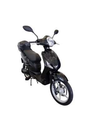 Bici Elettrica Scooter Velocipede Vitale NJT-007 250W  20Ah 48V Batteria a Grafene-Nero