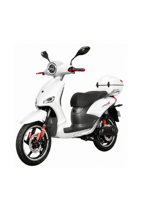 Scooter Elettrico Vitale Sport 800W 35Ah 48V Batteria a Litio